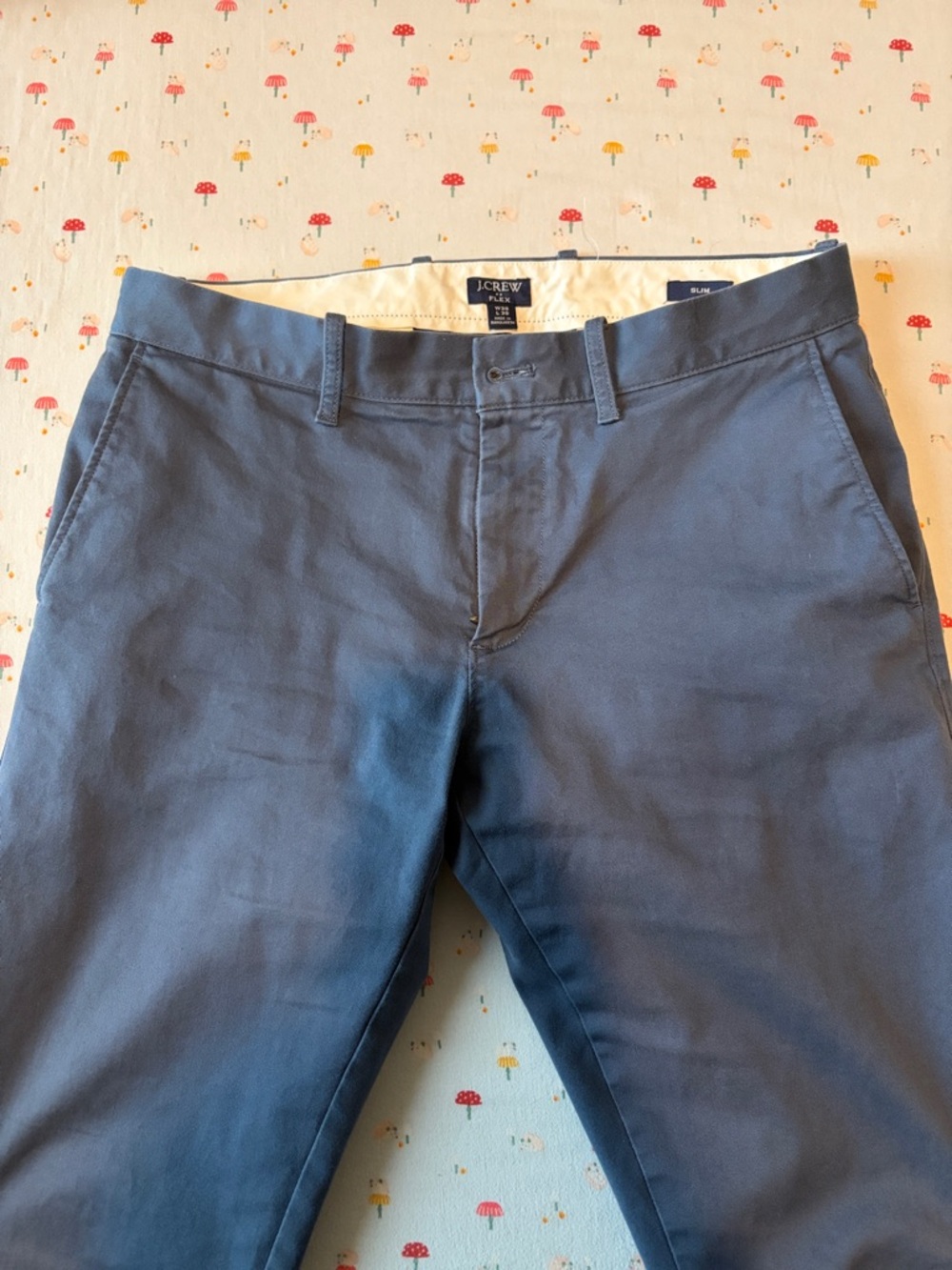 J. Crew Men's Chino Pants in Slate Blue